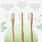 Three Liveify bamboo toothbrushes with text describing features on a green background