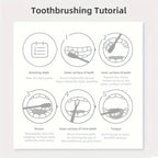 Liveify toothbrushing tutorial infographic with step-by-step guide for brushing teeth, molars, and tongue