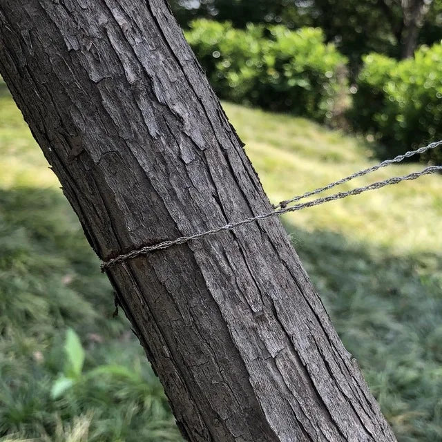 Liveify rustic tree trunk with weathered bark wrapped in twisted metal wire, outdoor garden setting