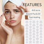 Liveify anti-acne star-shaped hydrocolloid pimple patches for fast healing and oil absorption