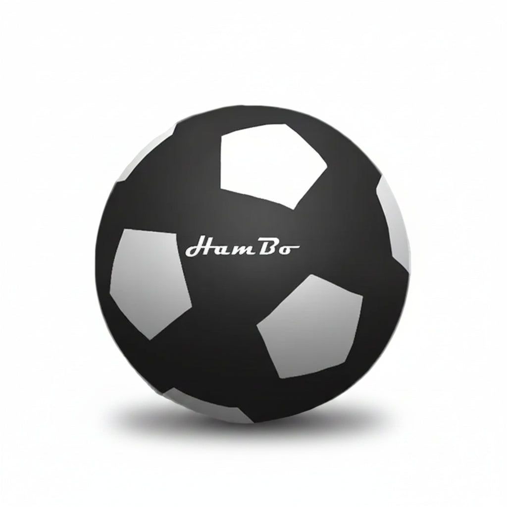 Silent football with 'HamBo' branding on a white background